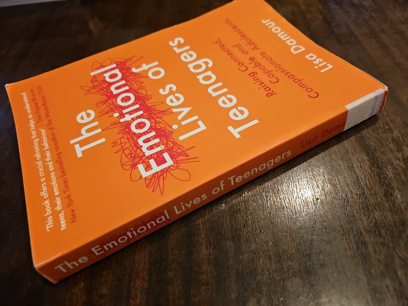 The Emotional Lives of Teenagers Lisa Damour Paperback Book gallery