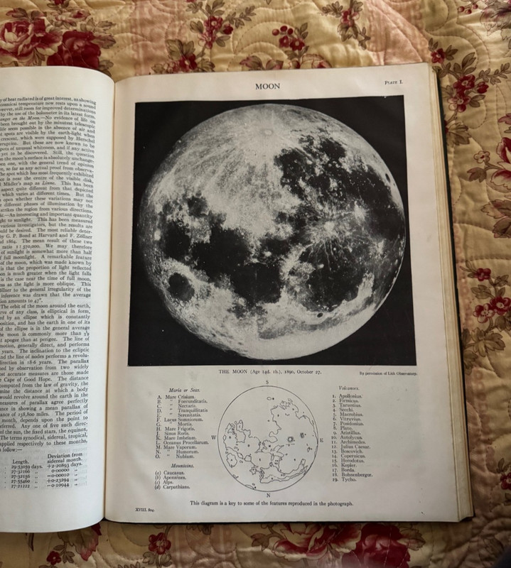 Encyclopedia Britannica 11th Edition (1910 to 1911), Volume XVIII, MED to MUM gallery