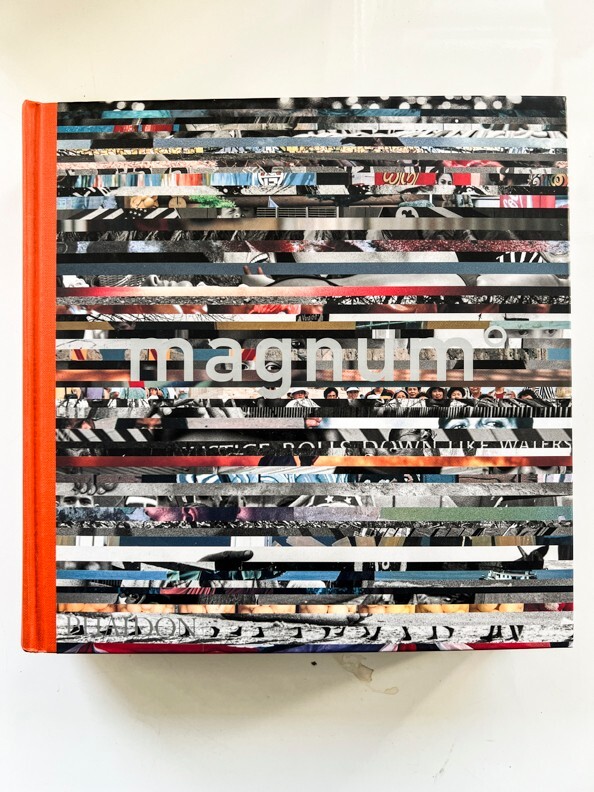 magnum Degrees by Michael Ignatieff (Paperback, 2003) Excellent Condition