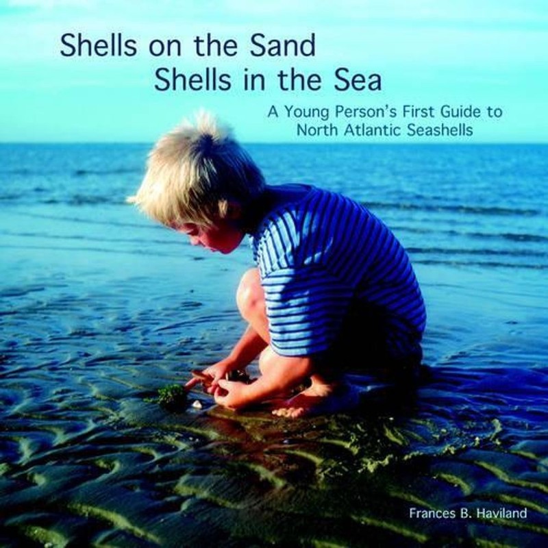Shells on the Sand, Shells in the Sea: A young person’s first guide to North Atl
