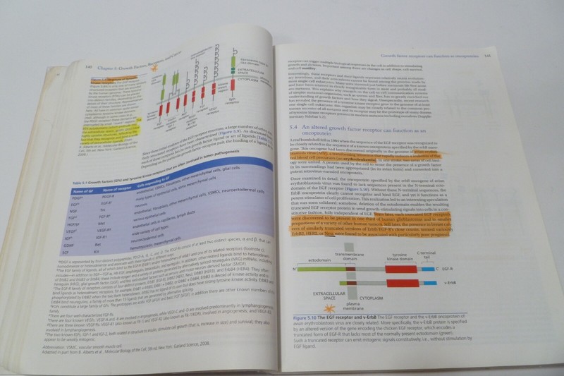 The Biology of Cancer, 2nd Edition Robert Weinberg Acceptable Condition gallery
