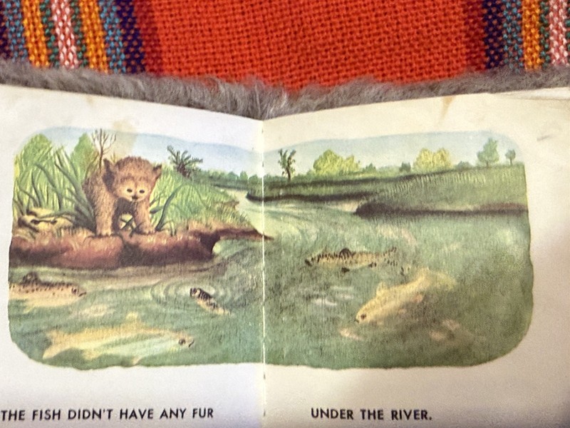 Little Fur Family Vintage Children's Book - 1984 By Margaret Wise Brown gallery