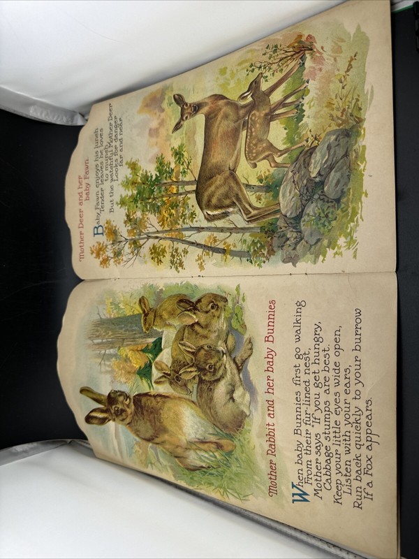 Baby Animals and Birds by Julia Anne Rogers #22, 1927 Stecher Litho, Vintage gallery