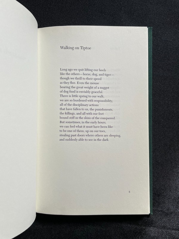 SIGNED Ted Kooser "Delights & Shadows" 1st Ed Ltd (Hardcover) Copper Canyon 2004 gallery
