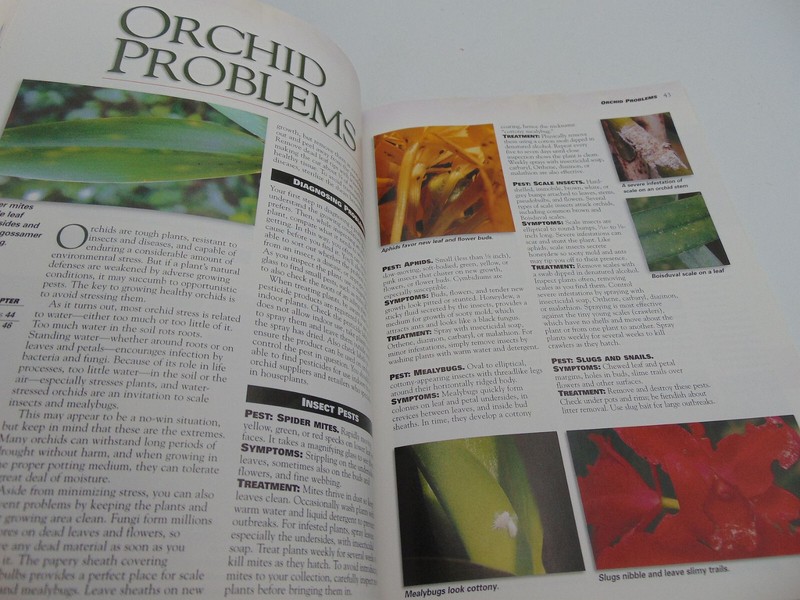 Orchids by Ortho Books Staff and Elvin McDonald (1999, Trade Paperback) NEW gallery