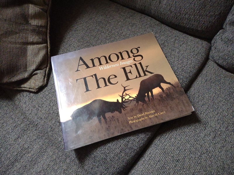 Among The Elk-Wilderness Images-Alan D Carey-David Petersen
