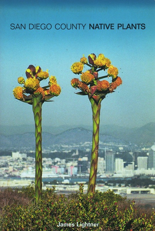 San Diego County Native Plants