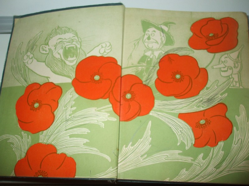 1903 Book - The Wizard Of OZ - by L. Frank Baum - pictures by W.W. Denslow gallery