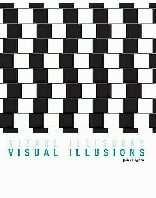 VISUAL ILLUSIONS by James Kingston 30 Optical Images BRAND NEW Hardcover WILD!