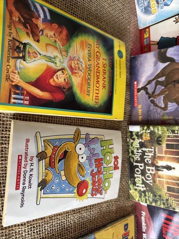 Lot of 10 Chapter Books for BOYS Youth Early Reader Young Adults Children RANDOM gallery