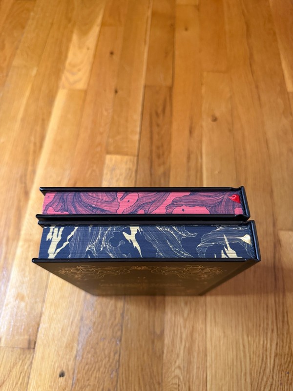 Moonlight Book Box Vincula Realm Jamie Applegate Hunter Umbra King + Aeternum gallery