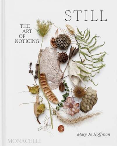 STILL: The Art of Noticing by Mary Jo Hoffman: New