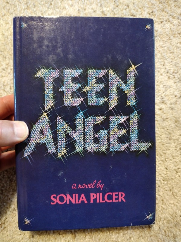 Teen Angel A Novel by Sonia Pilcer 1st Edition 1978 Coward, McCann & Geoghegan