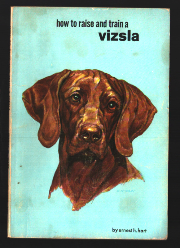 How to Raise and Train a Vizsla Ernest H Hart Vintage Dog Book 1968 Printing
