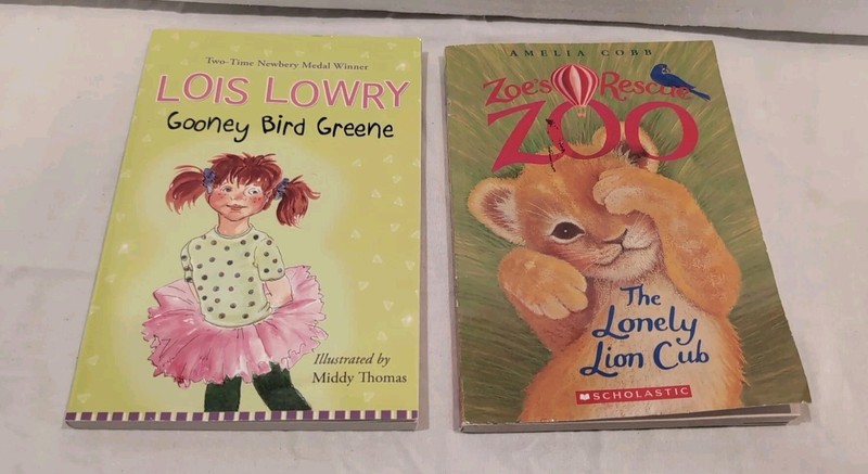 Lot of 20 Chapter Books for GIRLS| Youth| Early Reader| Young Adult| Children gallery