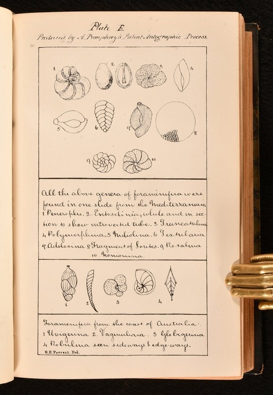 1877-9 5vol in 1 The Midland Naturalist; Annual Report And List Of Members Ve... gallery
