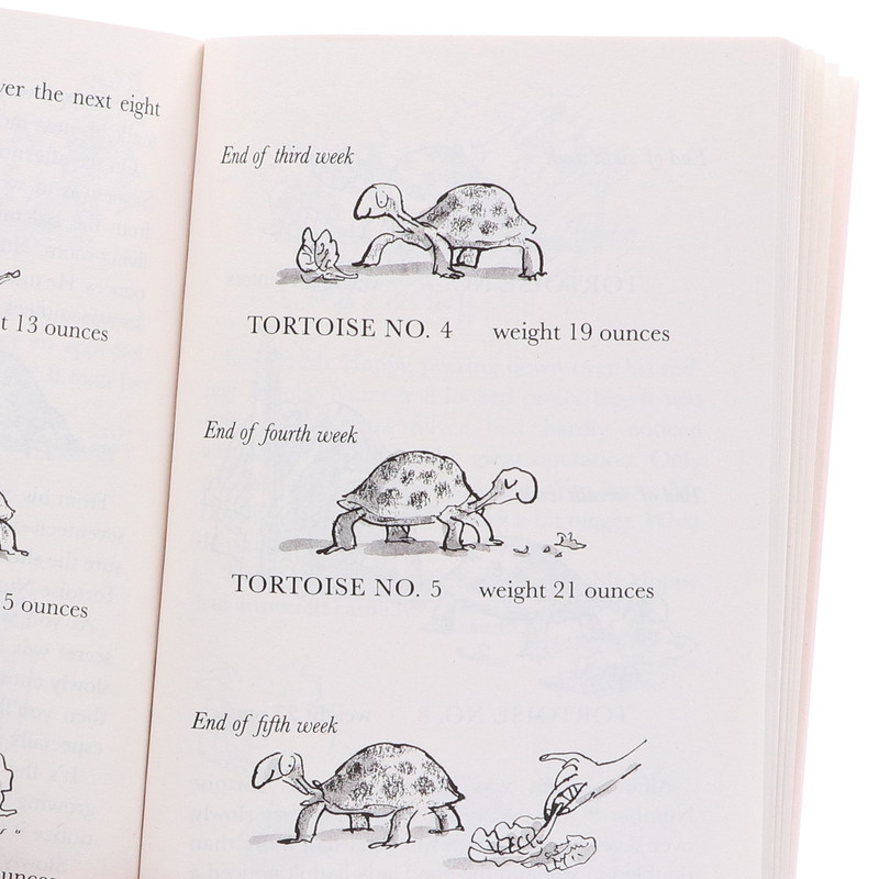 Roald Dahl Collection 16 Books Box Set - Ages 7-9 - Paperback gallery