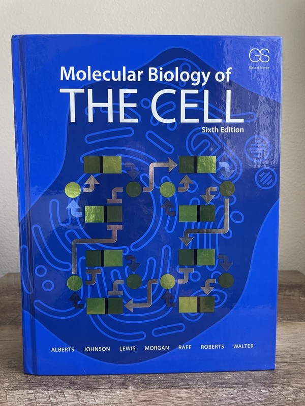 Molecular Biology of the Cell – Hardcover, by Alberts Bruce – Very Good