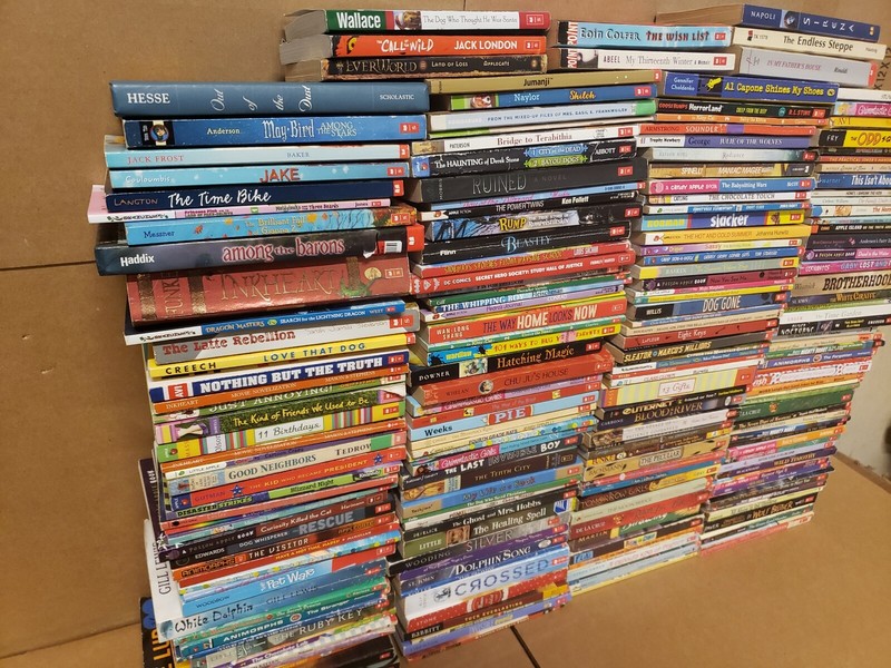 Lot of 100 Chapter INSTANT LIBRARY Children RL 2-6 RANDOM READ UNSORTED BOOK MIX