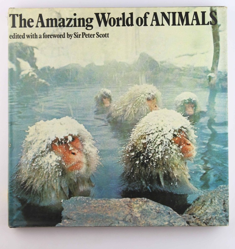 Amazing World of Animals – Scott, P. Henry Holt & Company, Inc. hardcover Book