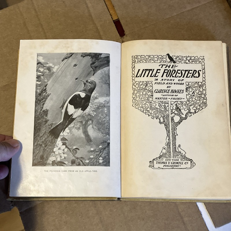The Little Foresters: A Story of Field and Woods. 1903. Outdoor Wildlife Nature gallery