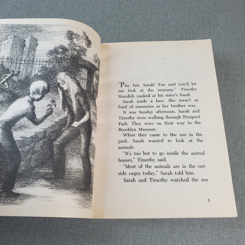 Summer Magic Ruth Chew 1977 Illustrated Children's Fantasy Adventure Scholastic gallery