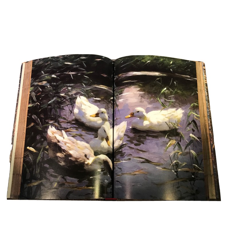 ❤️THE ILLUSTRATED WALDEN or LIIFE IN THE WOODS Henry David Thoreau NEW Hardcover gallery