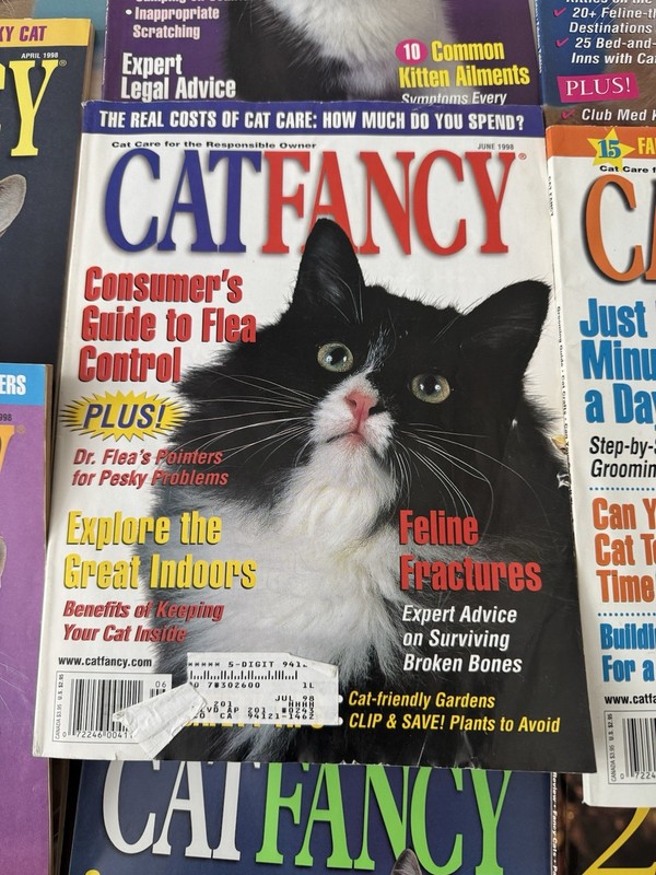 1998 Lot 10 Cat Fancy Magazines 01/98 to 09/98, and 12/98 Cat Posters Photos gallery