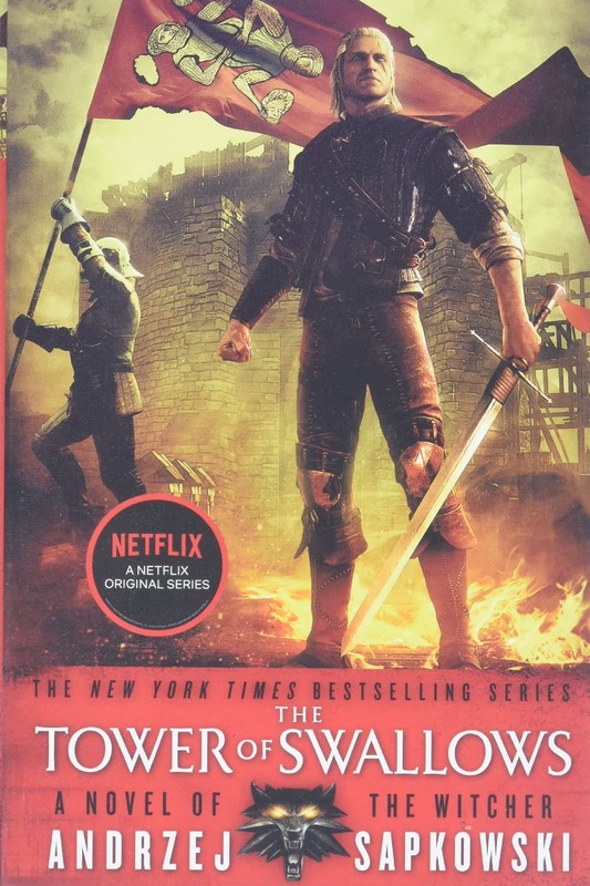 The Tower of Swallows (The Witcher, 6)