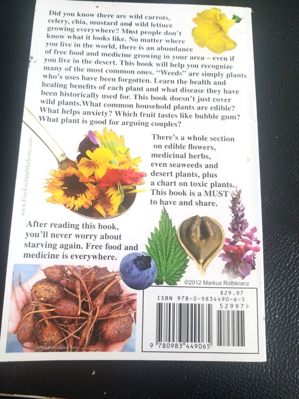 Free Food and Medicine Worldwide Edible Plant Weeds Guide Markus Rothkranz 480p gallery