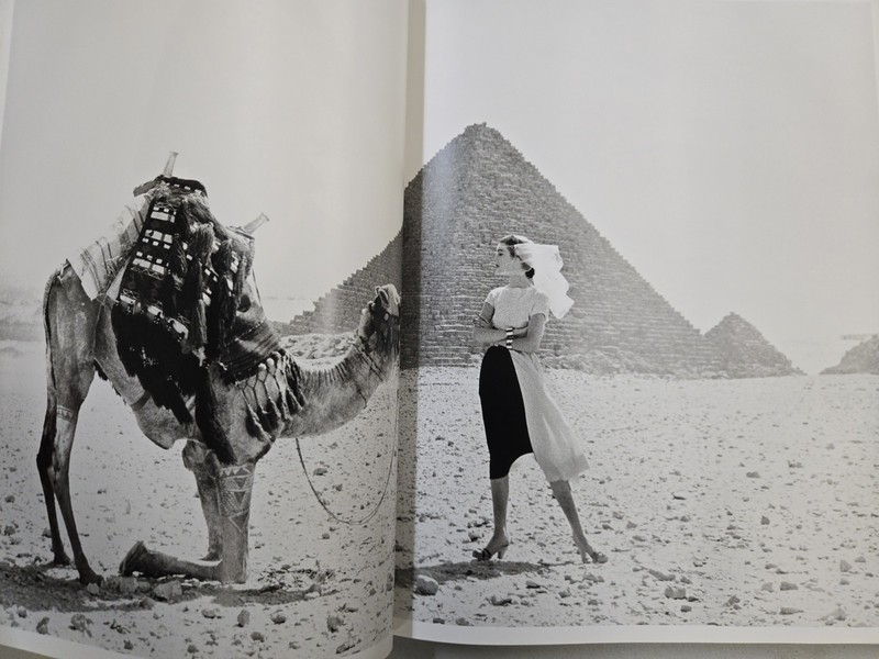 Woman in the Mirror by Anne Hollander and Richard Avedon (2005, Hardcover) gallery