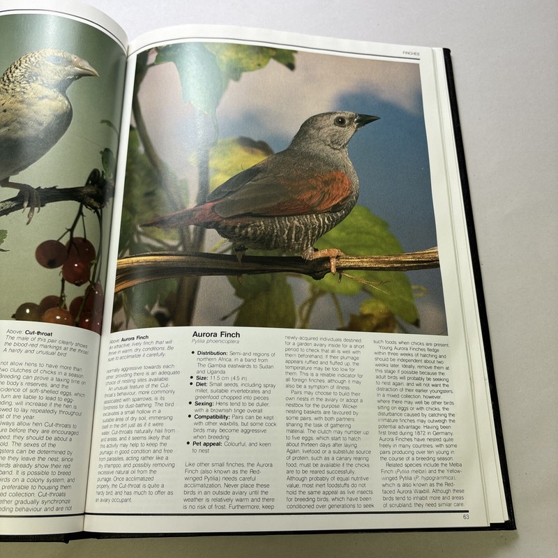 Pet Birds for Home and Garden by Don Harper (Hardcover) gallery