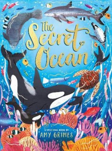 Amy Grimes The Secret Ocean (Hardback)