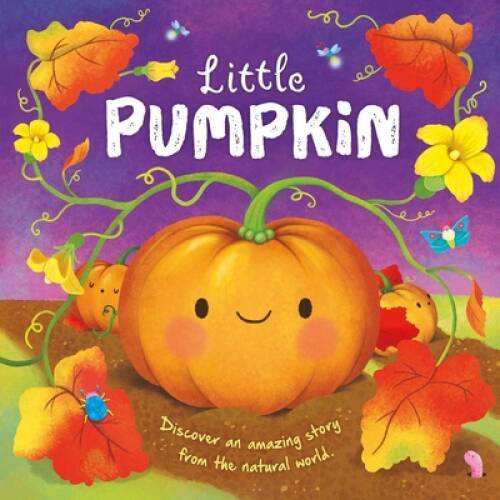 Nature Stories: Little Pumpkin-Discover an Amazing Story from the Natural – GOOD