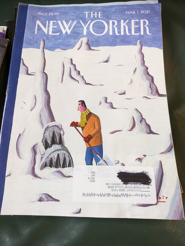 NEW YORKER MAGAZINE – March 1, 2021 – «Under The Weather » – Benoit van Innis