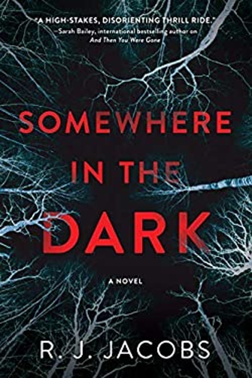 Somewhere in the Dark : A Novel Hardcover R. J. Jacobs