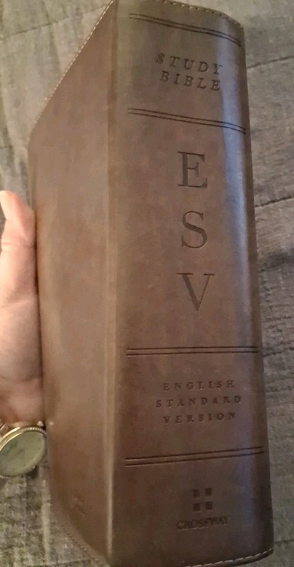 ESV Brown Leather Study Bible Gold Edged Thin Paper Pages Beautifully Done