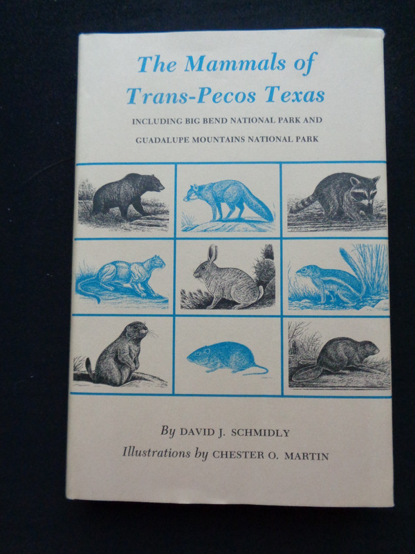 Mammals of Trans-Pecos Texas Big Bend National Park Guadalupe Mountains Bats