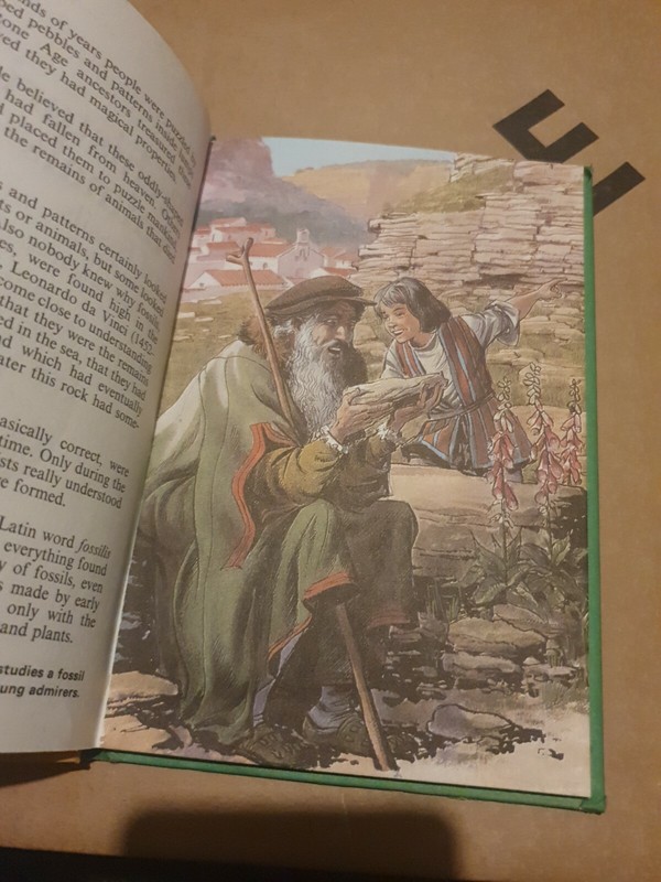 Ladybird book Series 651 Prehistoric Animals And Fossils Robert Ayton Good gallery