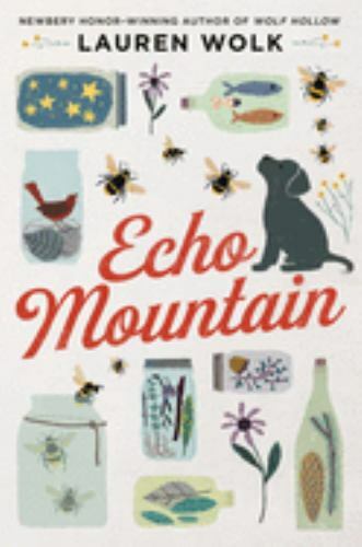 Echo Mountain by Wolk, Lauren