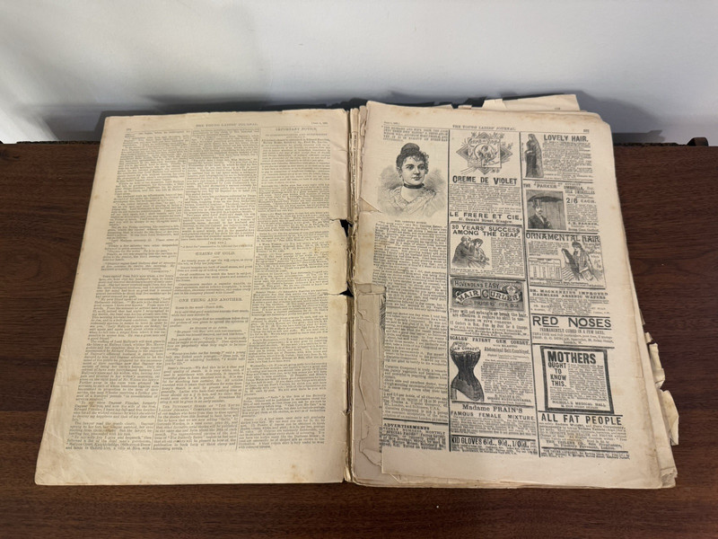 June 1st 1895 Young Ladies Journal - 1800s Weekly Fashion Women's Magazine RARE gallery
