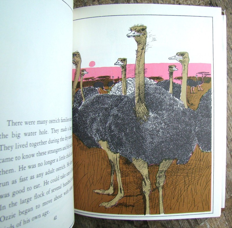 Biography Of An Ostrich ~1974 HC~ Hopf Ben Stahl Bird Egg Children's Illust gallery