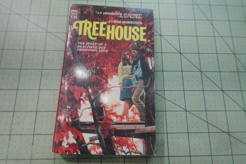 Treehouse by James Morrison 1973 Vintage Dell 1st pb «Tale of Forbidden Love»