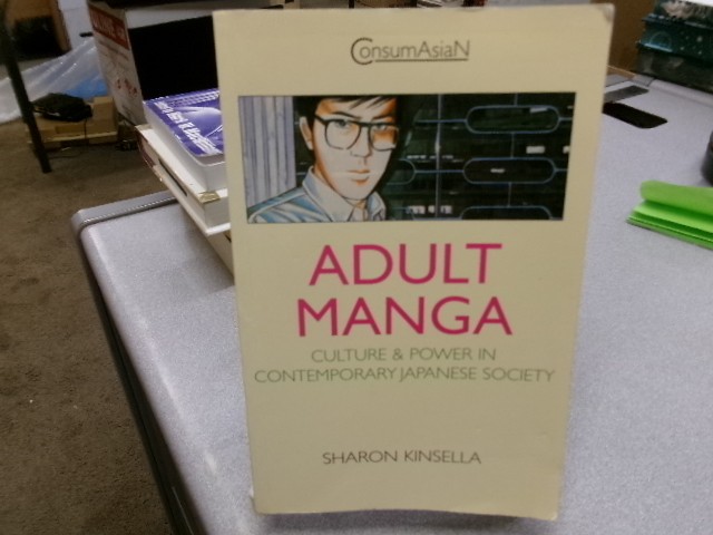 Adult Manga : Culture and Power in Contemporary Japanese Society (Consumasian Bo