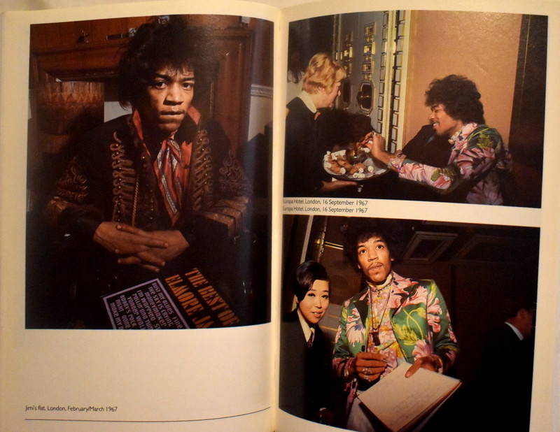 Jimi Hendrix Electric Gypsy by Harry Shapiro St Martin's Press Trade Paperback gallery