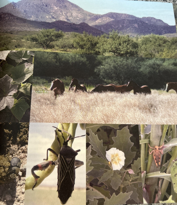 SIGNED! Farming with the Wild; Enhancing Biodiversity on farms and Ranches PB gallery