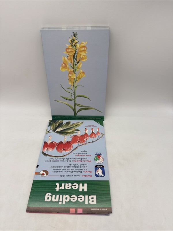 Abeka Flowers Field and Study Cards - 5th & 6th Grade Science gallery