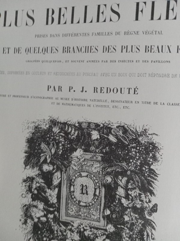 PIERRE JOSEPH REDOUTE THE MOST BEAUTIFUL FLOWERS gallery
