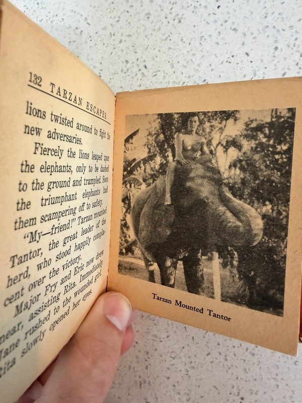 Tarzan Escapes 1936 Big Little Book Vintage Whitman MGM RARE gallery