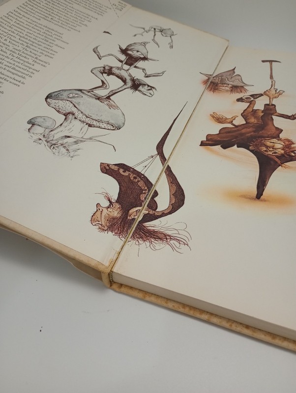 FAERIES HC/DJ 1978 Described & Illustrated Brian Froud & Alan Lee SEE Pictures gallery